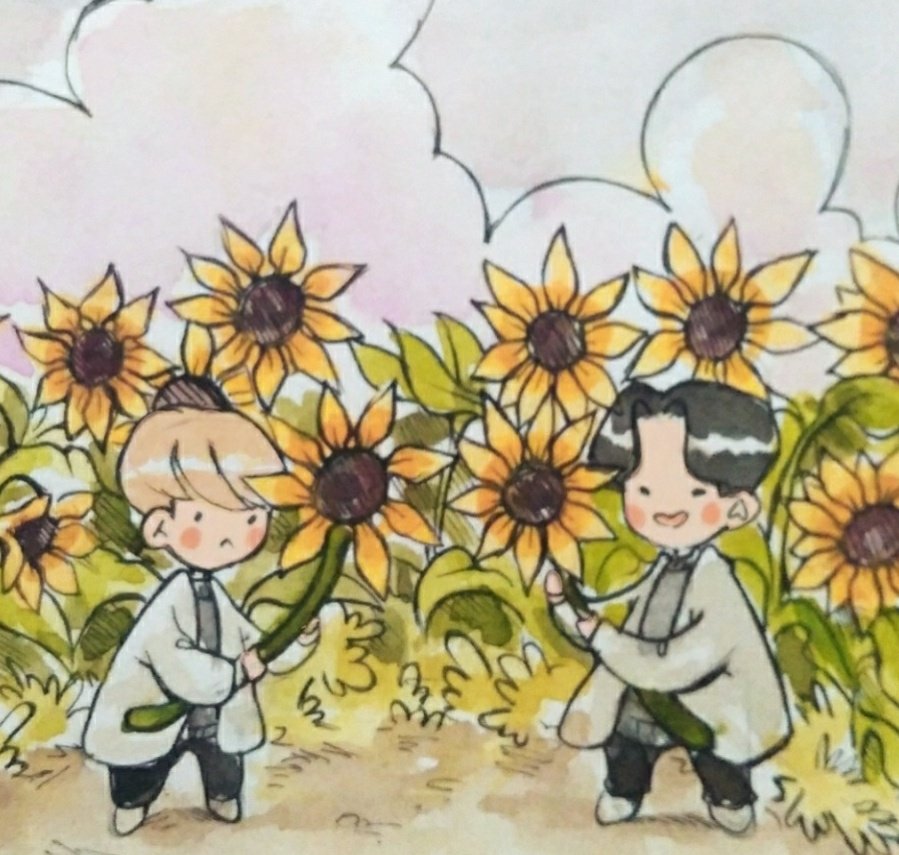 sope in the sunflower field