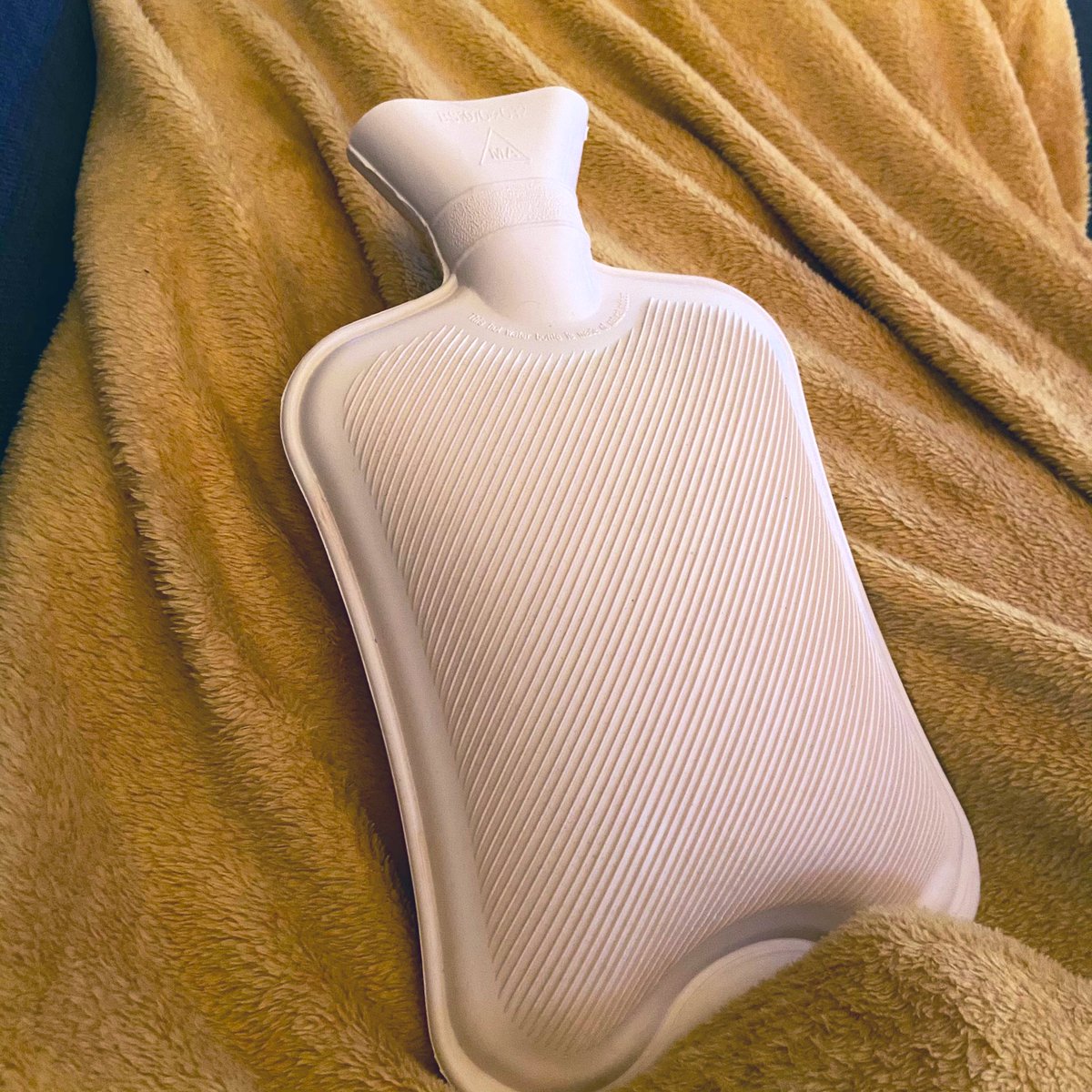 TheAmbientCafe's tweet photo. Honestly what are the holidays for if not napping on a sofa with one of these https://t.co/qyfktq3eVQ