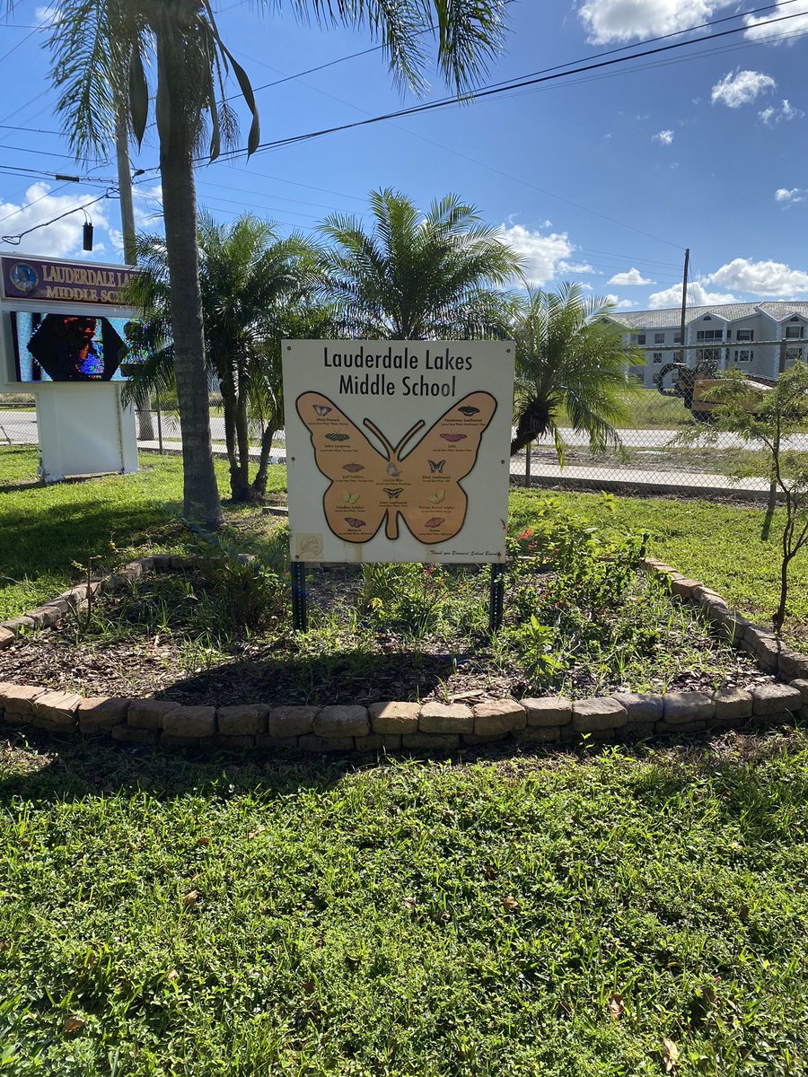 Jill Slesinski (@msslesinski) on Twitter photo BIG Thanks to Ms. Green and the <a href="/LLMS_Vikings/">Lauderdale Lakes Middle School</a> Environmental Club for bringing our Butterfly 🦋 Garden to life! <a href="/RyserWilliam/">William Ryser, M. Ed.</a> <a href="/RolleRosheika/">Rosheika Y. H. Rolle</a> <a href="/J_Louis365/">J_Louis</a> <a href="/MsJosephR1/">Mrs. Pierre (formerly) Joseph</a> BIG Thanks to Ms. Green and the <a href="/LLMS_Vikings/">Lauderdale Lakes Middle School</a> Environmental Club for bringing our Butterfly 🦋 Garden to life! <a href="/RyserWilliam/">William Ryser, M. Ed.</a> <a href="/RolleRosheika/">Rosheika Y. H. Rolle</a> <a href="/J_Louis365/">J_Louis</a> <a href="/MsJosephR1/">Mrs. Pierre (formerly) Joseph</a>
