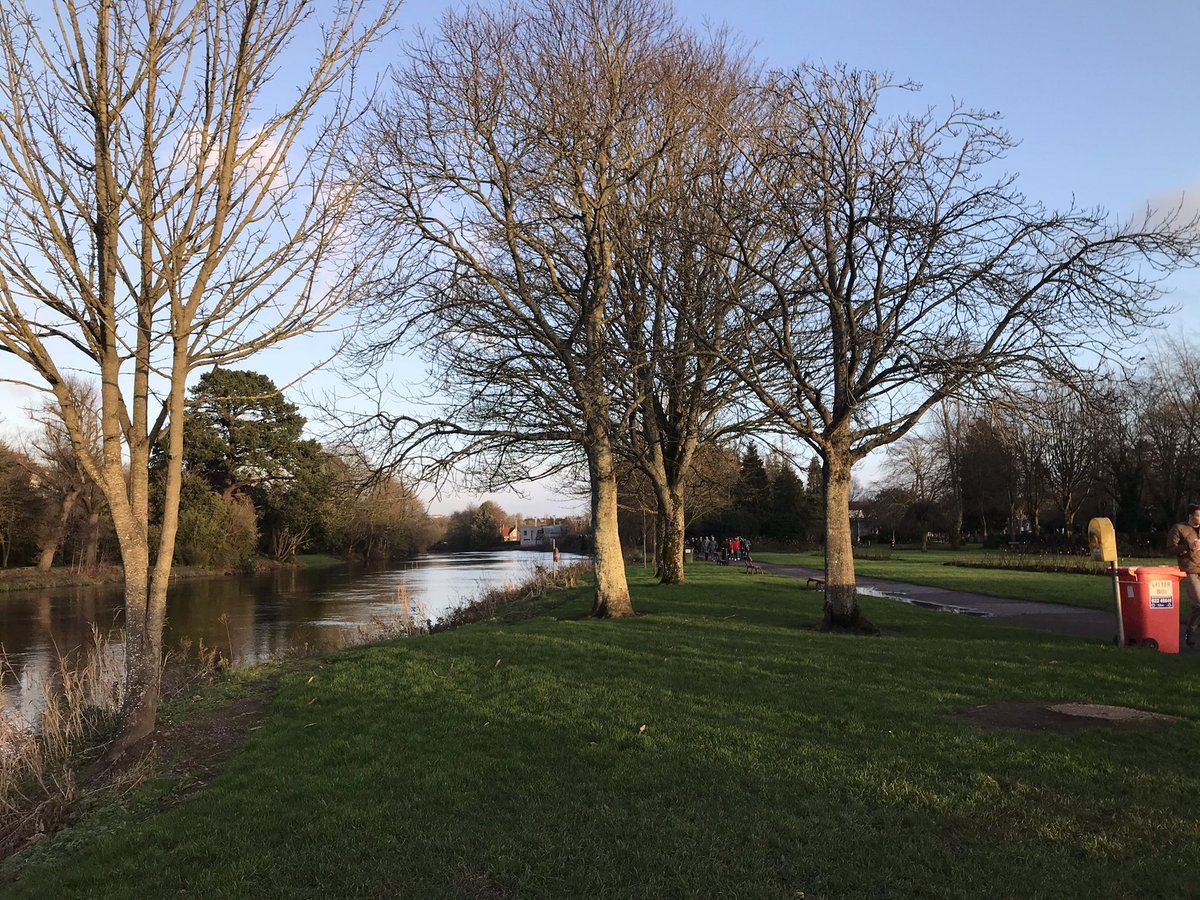Tfitzgeraldcork's tweet photo. Lots of activity on the #banksofthelee #fitzgeraldspark #shakybridge today https://t.co/a1CznTAttX