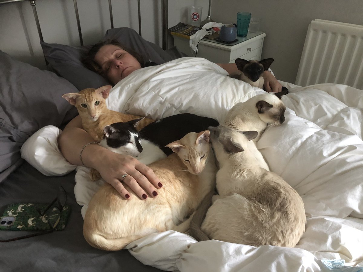 cat_deej's tweet photo. My future wife ❤️ https://t.co/PeLXoBmOCs