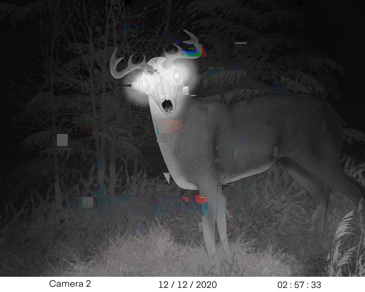 mangeyhellhound's tweet image. Hey #BiCreators I’m one of you! I’m Spike and I draw animals 🌱