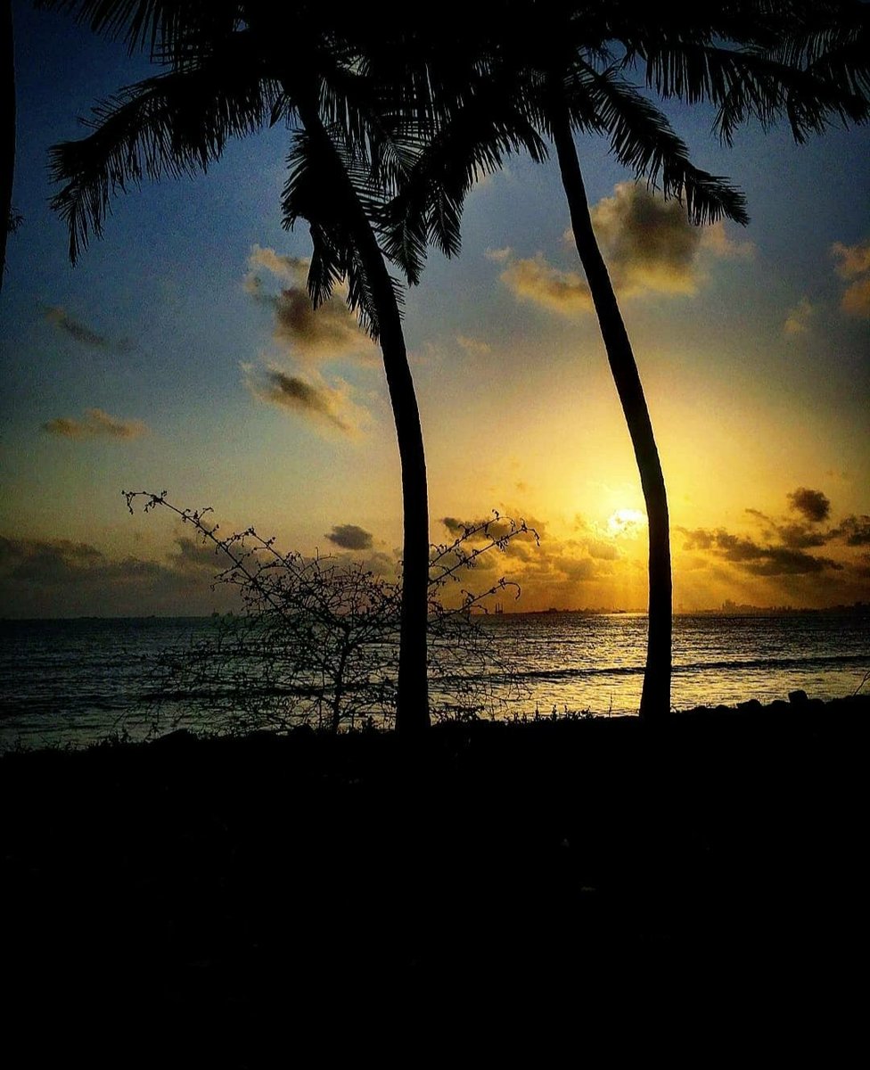 backpackingtale's tweet photo. I'm never leaving, when a view like this. Mother Nature doesn't need a filter. #PicOfTheDay #sea #palm #photography #Photos #view #photographylover #photographers #NaturePhotography #nature #naturelovers #naturebeauty https://t.co/YnvDmUJwcu
