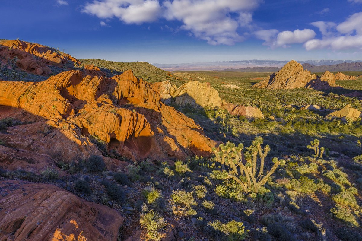 #OTD: Pres. Barack Obama designated Gold Butte National Monument on December 28, 2016, using the Antiquities Act. The monument was the direct result of a multi-year campaign by local stakeholders to #protectgoldbutte. Today, we celebrate 4 yrs of Gold Butte NM. (📸: Chip Carroon)