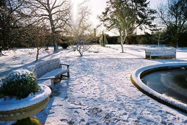 Water features like ponds and fountains can be especially stunning in cold weather.

Read further: m.facebook.com/story.php?stor…