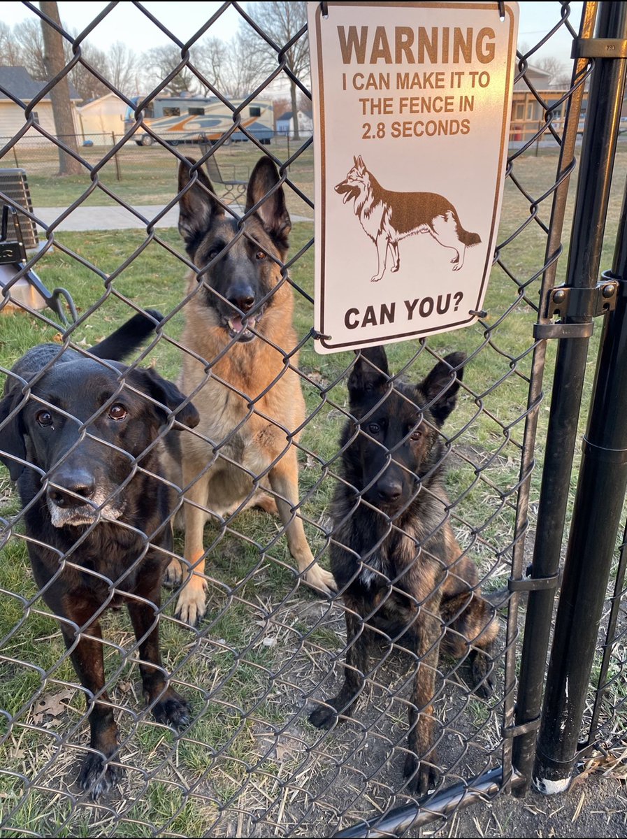 Just moved into a new house and I don’t think the neighbors will give us any trouble. @PascoSheriff @K9Sid @Tpr_James_Casey @JamesCraigmyle @StuBishop_LPD @TPD_Ross @deannamarsh751 @DarkDispatch