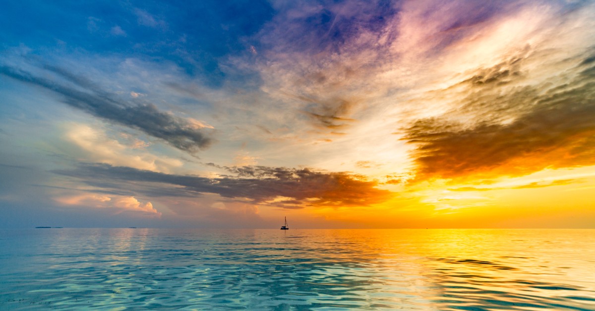 iCruise's tweet photo. A new year is on the horizon...🌴☀️ #2021 https://t.co/BlhgPLvmE7