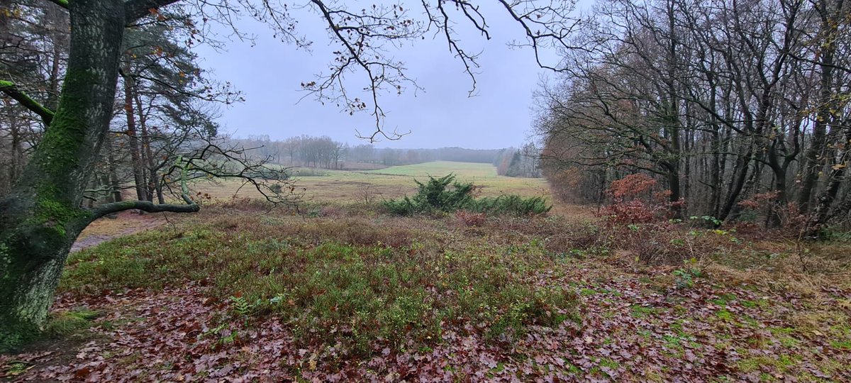 Limastte's tweet photo. Route "Door het dal van de Mosbeek".Mooi @ProvOverijssel #vasse #watermolenvanfrans #genieten #onverhardepaden en #verhardepaden @regio_twente #manderheide ππ https://t.co/9LVnUyTm3C