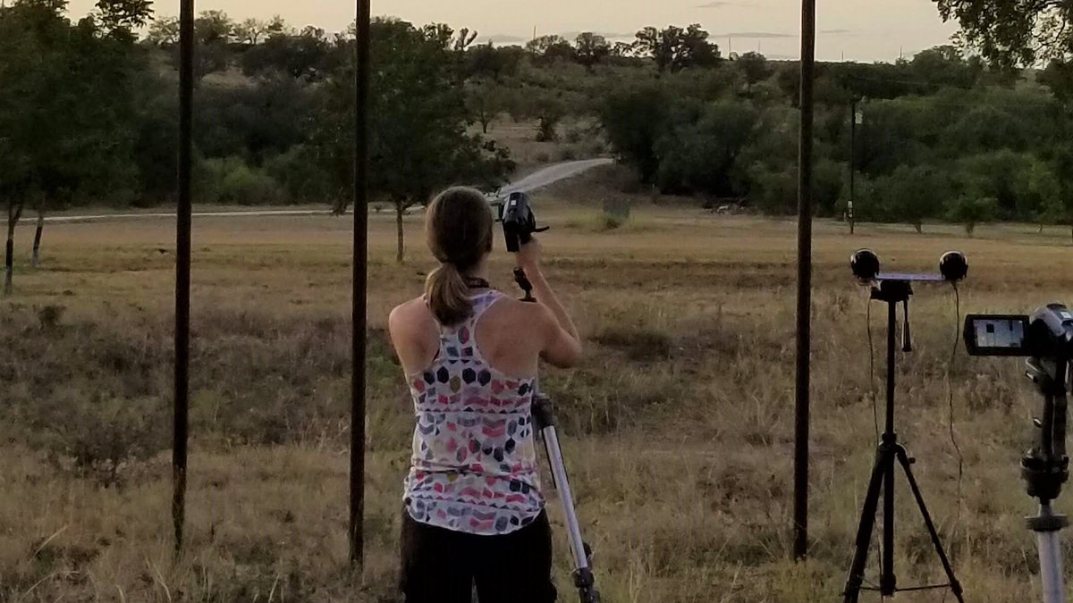 [Tweet by  @BatsForLife] I also set up infrared cameras near the bat houses to watch them come out and count how many were roosting in each house. Each of these houses can hold several hundred bats that eat pest insects like mosquitoes and agricultural pests.