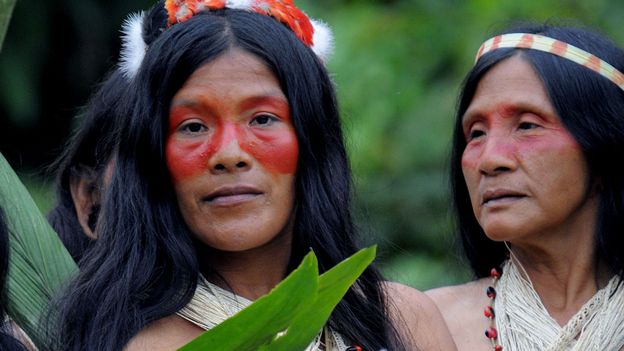 ipsone2's tweet image. Une proposition amazonienne au. bord  de  l'extinction😕😕🌴🌴🌴🌴🌴