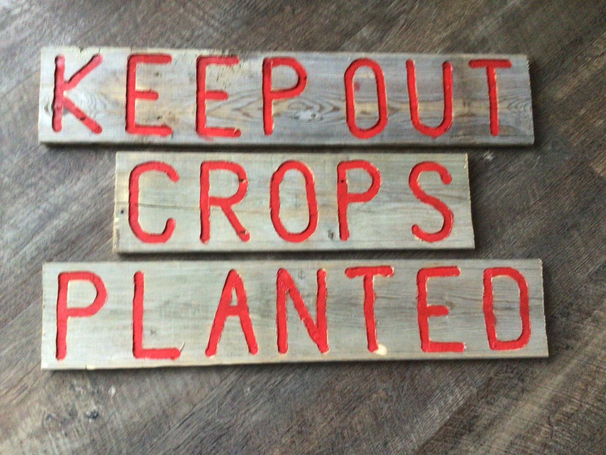 heastontfarms's tweet photo. Sad day when you have to do this, just because there is snow people you need to respect what the farmer has planted https://t.co/GtDPqiTFb1