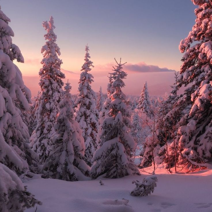 2climatesavior's tweet image. 