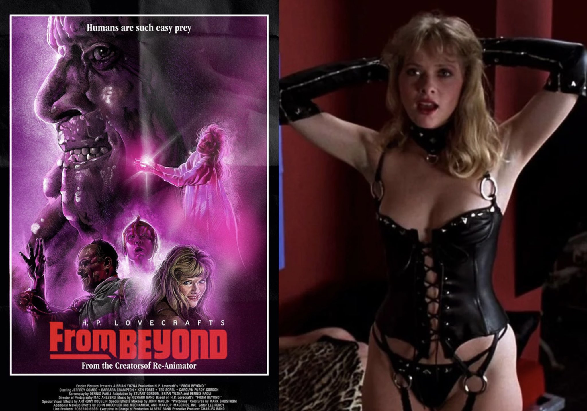 Wishing a happy birthday to the lovely Barbara crampton xx 