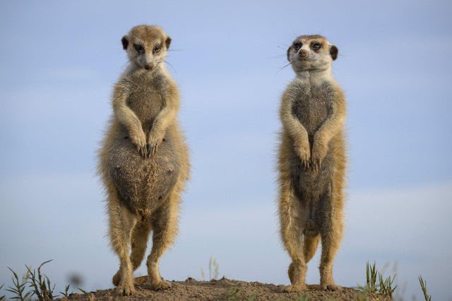 emma napper tweet media