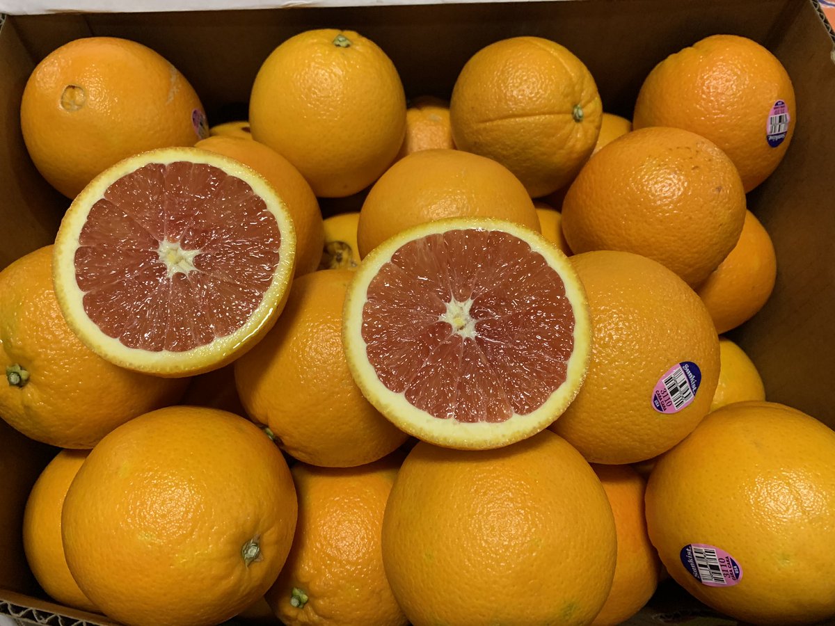 TheProduceGeek's tweet photo. Pink-fleshed, seedless and deliciously sweet with light berry tones to the flavor, Cara Cara Oranges are now in season for winter snacking!  
They appear like a regular navel orange from the outside so look 3110 on the sticker, or 93110 for organic.
#caracaraoranges #freshproduce https://t.co/sg0Y1XkwPi