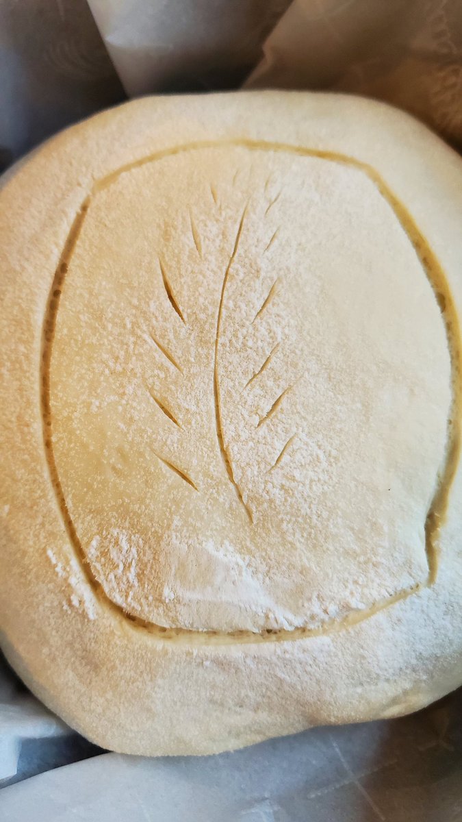 RabiaQaiser5's tweet photo. My first attempt at sourdough bread!!! Can't wait to try with herbed butter! #sourdough #LOTSOFPATIENCE #pedsneurosurgeonspatience https://t.co/UzyX4qyJjN