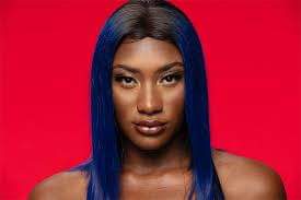 Au sein de ce géant nous avons Rec. 118 qui a dans son catalogue plusieurs machines de guerre de cette industrie comme Aya Nakamura, Ninho ou Soprano. Warner exploite également les albums de Hamza et vient de signer SCH en contrat d’artiste.