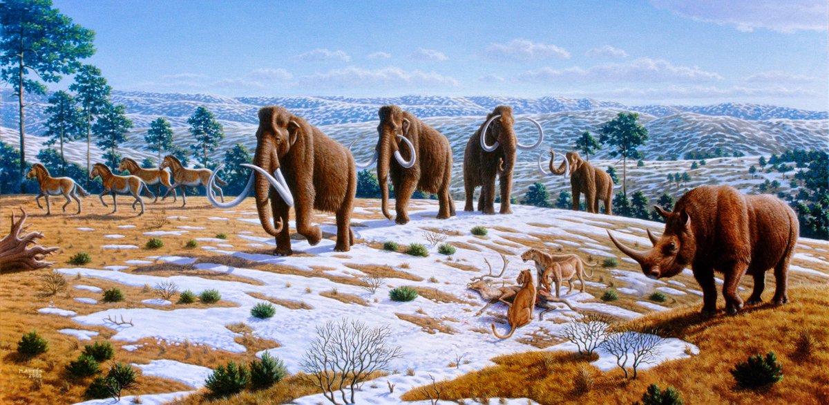 Lions, tigers and short-faced bears, oh my! “Extinct” megafauna of North America: