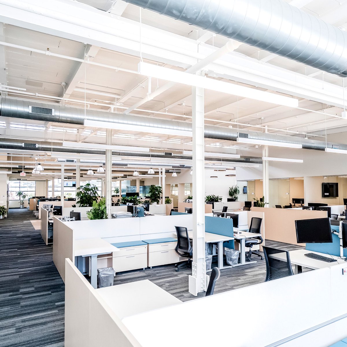 SpringMill1909's tweet photo. NSM has a proven reputation for building successful specialty insurance programs for more than 30 yrs. They are not only our friends but they have a refreshingly modern &amp; beautifully designed space on campus. So many windows throughout, it's always a bright day at @NSMInsurance! https://t.co/JtMIywqnma