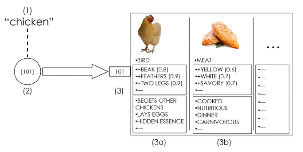 For example, here's what the concept CHICKEN might look like. You have an unstructured concept that points to a location where info about birds and meat are stored. When you hear 'delicious chicken', you might retrieve info about chicken-qua-meat, not chicken-qua-bird. 16/