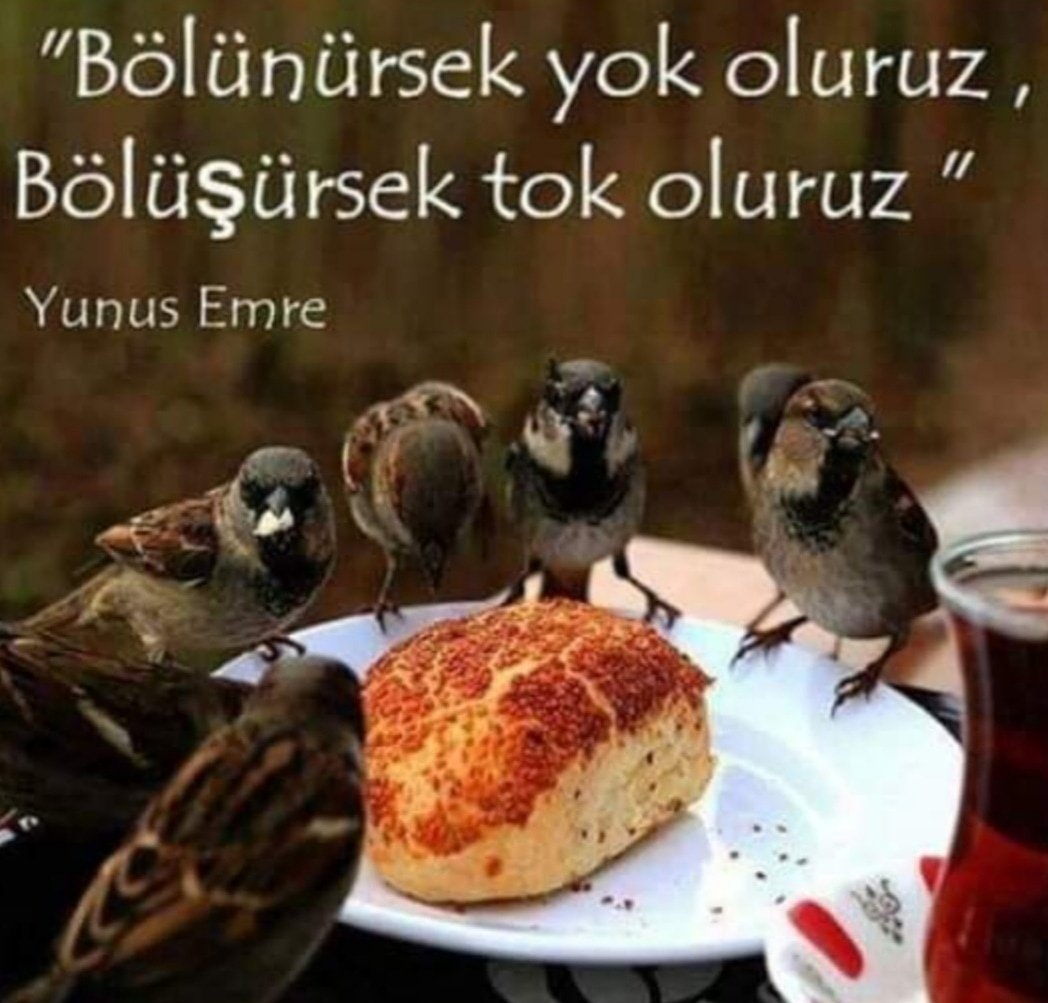 #SözleşmeliyeKadroMüjdesi  ARKADAŞLAR DEVAM EDİYORUZ 24.00 KADAR