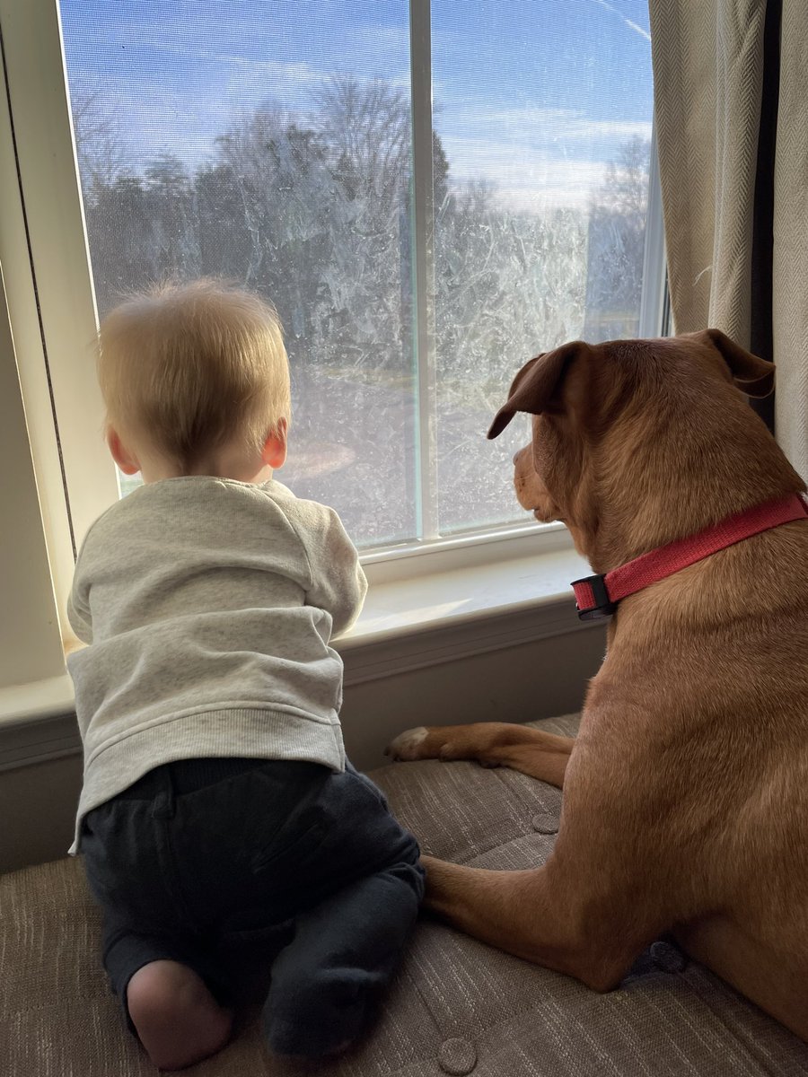 OshPup77's tweet photo. Just waiting....17 days until HOCKEY SEASON! πβ€οΈππ₯
β€οΈπ #ALLCAPS #CAPSPETS #CAPSCANINES #CAPSKIDS #CAPSFANS #LETSGOCAPS @NoVa_Caps @Art_VanD_lay https://t.co/BiqMNasuuy
