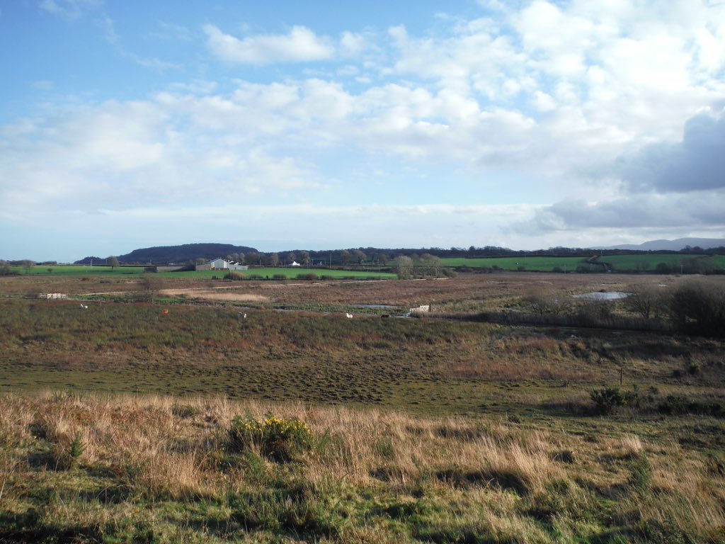 Exploring Afon  #Nodwydd  #Anglesey - this river rises in Cors Bodeilio National  #Nature Reserve - Mineral-rich water from the surrounding limestone drains into the wetland creating an alkaline fen  #stayinglocal  #Covid19  #RiversOfWales  #NNR  #naturalhistory  #heritage  #thread  #Wales