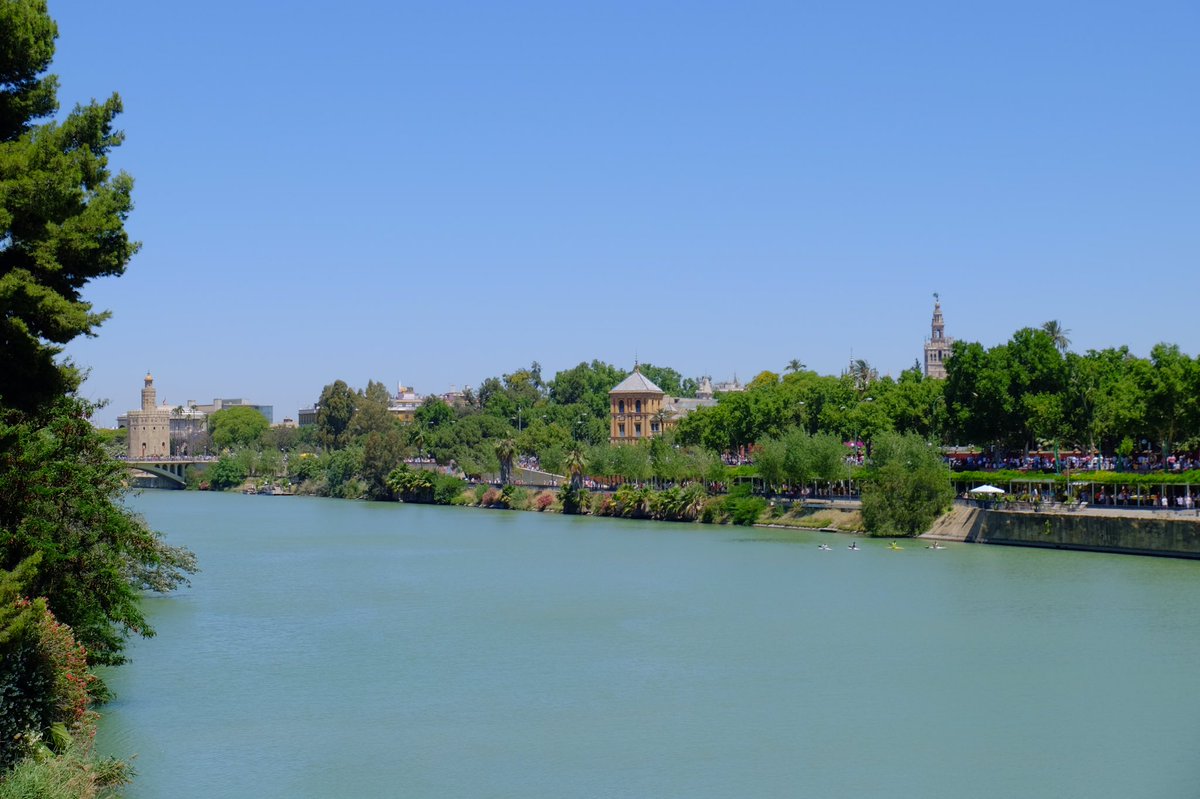 يا نيل مصر أين حمصُ ونهرها
حيث المناظر أنجمٌ تلتاح
في كل شطّ للنواظر مسرحٌ
تدعو إليه منازحٌ وبطاحُ
وإذا سبحتُ فلستُ أسبحُ خائفاً
ما فيه تيّارٌ ولا تمساحُ
ابن سعيد المغربي