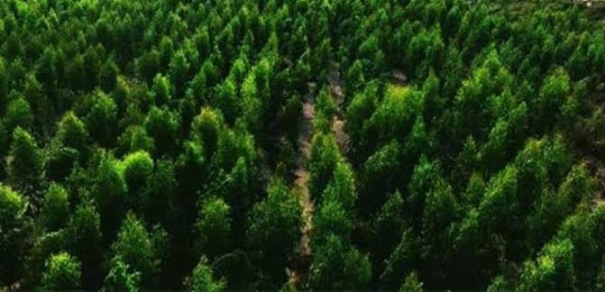 CPEC_UPDATE's tweet image. #GreenPakisran #billiontree
#Gwadar modern greenhouse construction is underway and to be completed &amp;amp; put in operation soon. #GreenPakistan #GreenGwadar 
@jam_kamal @ImranKhanPTI