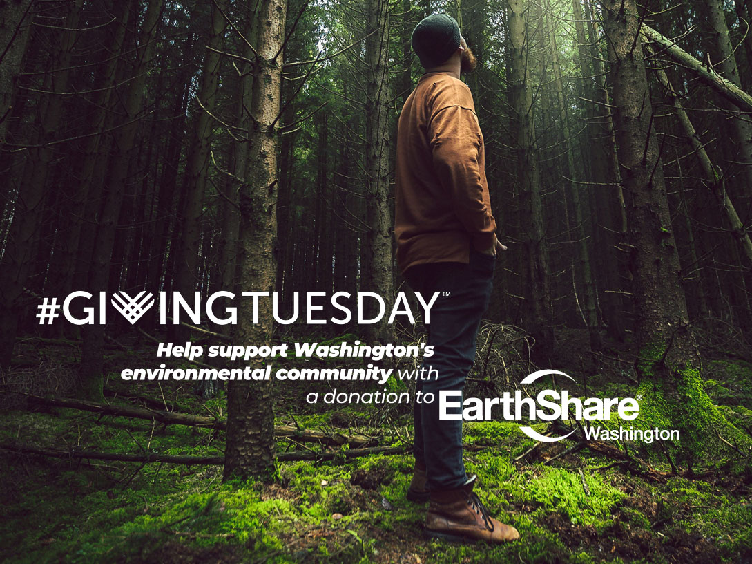 EarthShareWA's tweet photo. End the year on a high note! - https://t.co/1dWfbAYPnq https://t.co/NfausWXURi