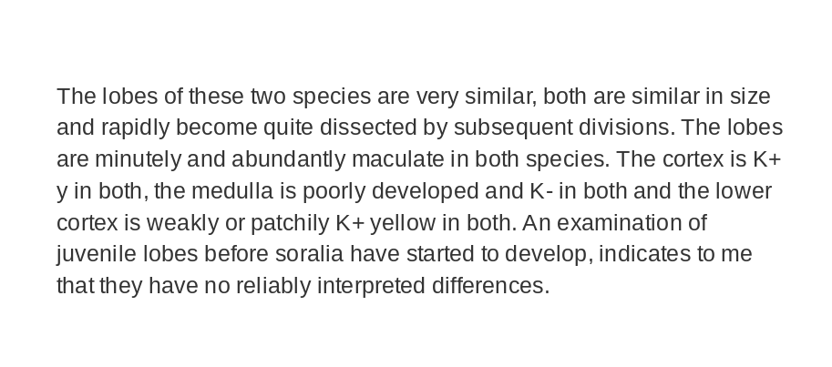 This thread will be mainly images of text that I have written today. Another day (when I have tech. issues sorted) I will make a more illustrated version).