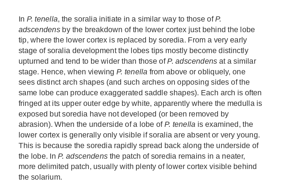 This thread will be mainly images of text that I have written today. Another day (when I have tech. issues sorted) I will make a more illustrated version).