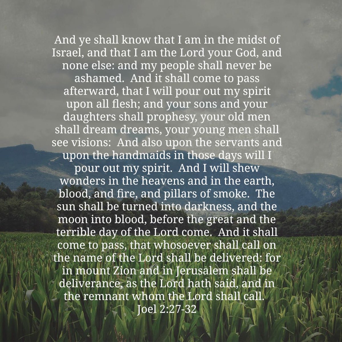 The Prayer Network (@_prayernetwork) on Twitter photo 