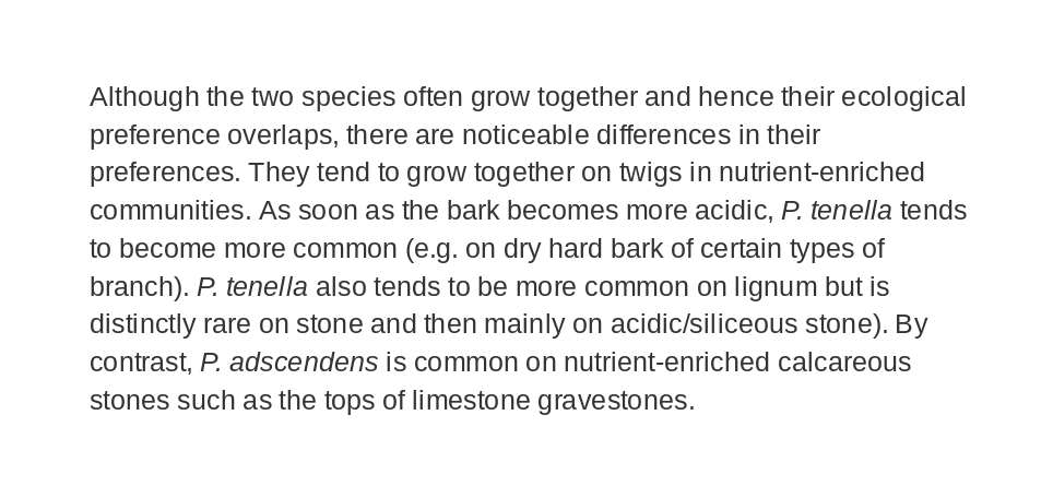 This thread will be mainly images of text that I have written today. Another day (when I have tech. issues sorted) I will make a more illustrated version).