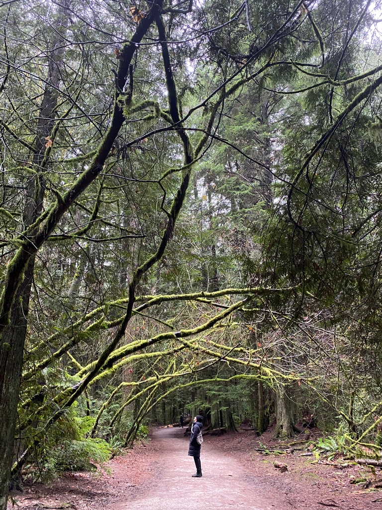 In 2020, I became a home for other women to land, release, remember, and find belonging. In some ways it feels like I have arrived in my body, in my bones, in my truth.