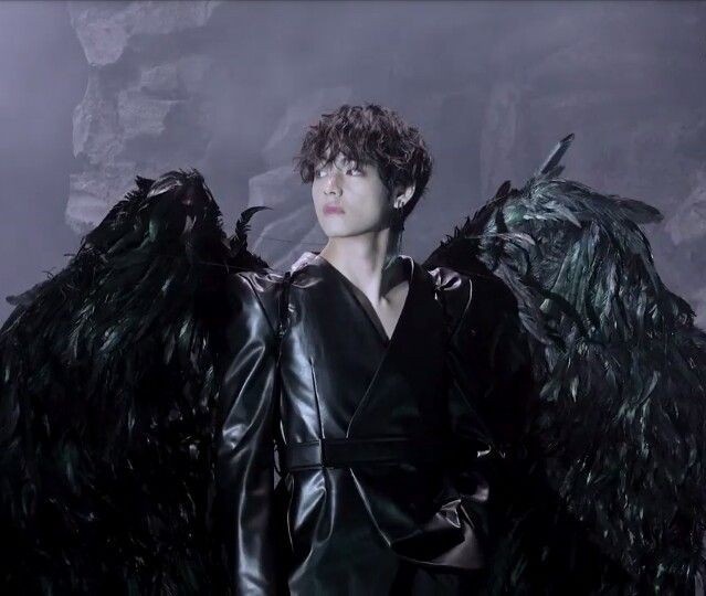 he owned the black swan concept