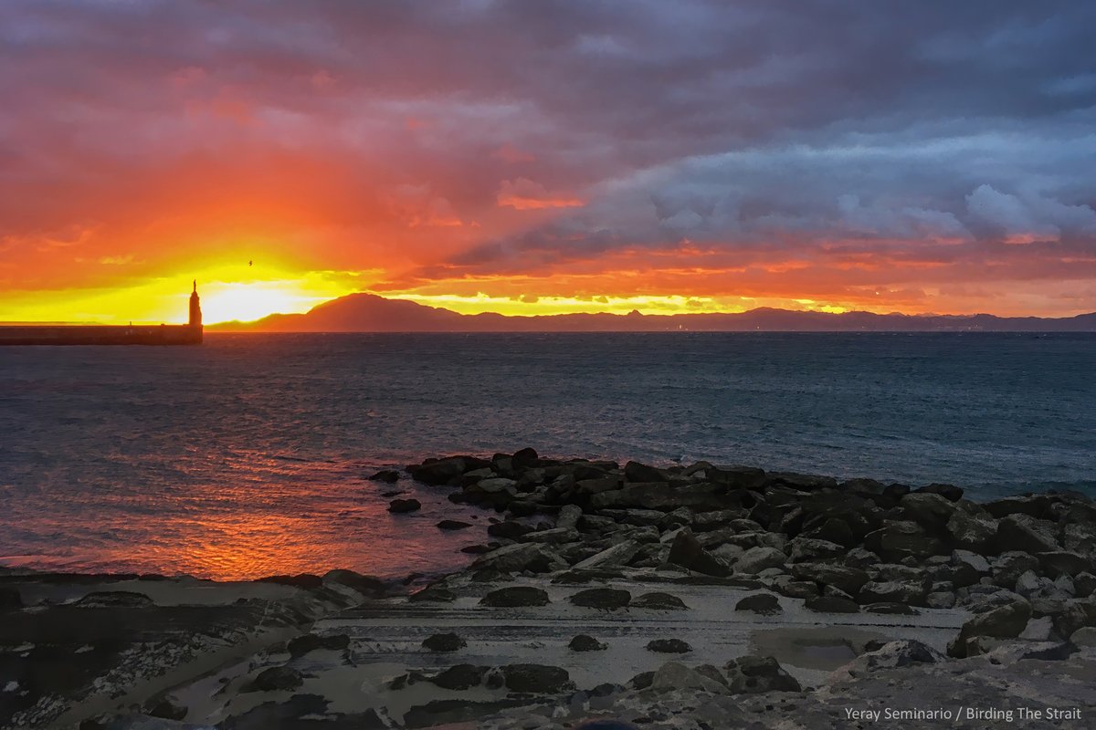This is how the entrance to the Island of Tarifa looked like before our Seawatching session this morning. We love this place...

#Tarifa #Seawatching #Birding