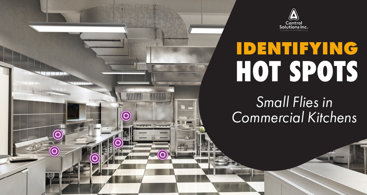 csi_pest's tweet photo. Identifying hot spots for small flies in commercial kitchens. #SmallFlies #CommercialKitchens #PestControlLife 

GET THEM HERE >> https://t.co/pY43ju5eAF https://t.co/c1yYqpVRS9