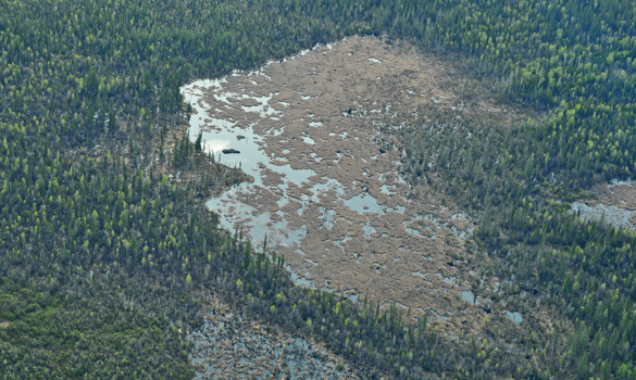 6/10And what about long dams? The current Official Guinness Record Holder is 2,788 ft (850m) long, in Wood Buffalo National Park, Canada (see pic below). Lots of interesting press reports when this was discovered in 2007 via air photos and again when visited in person in 2014.