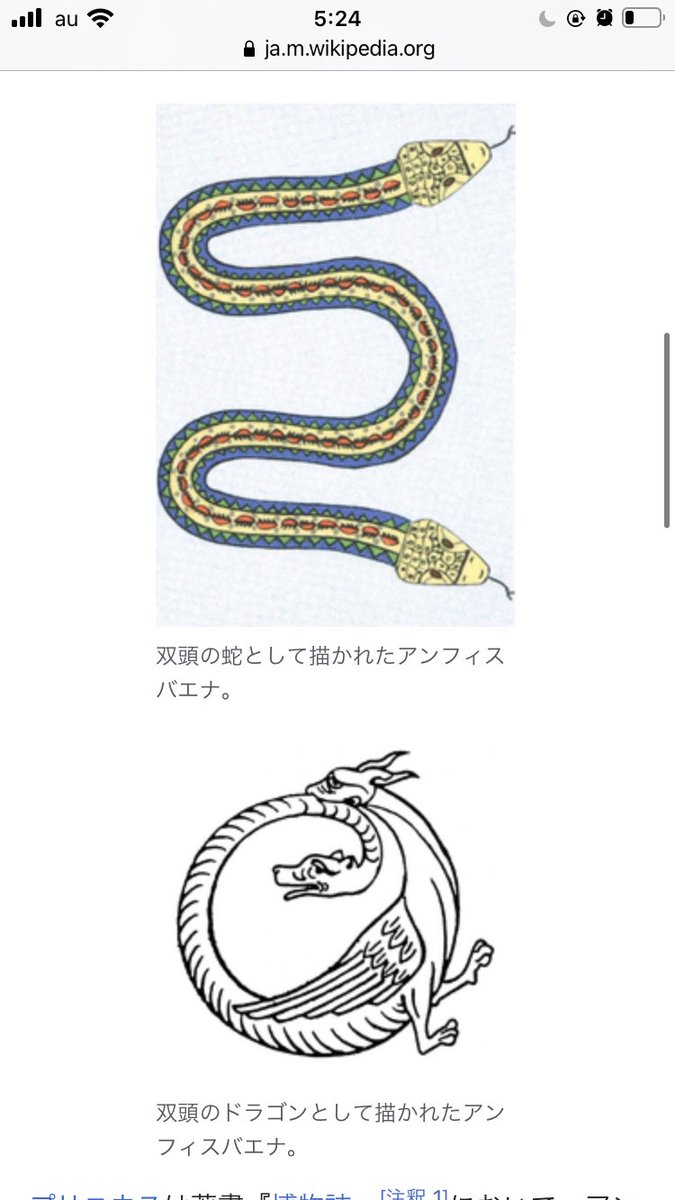 青 2 T Co Od2hkqqyk1 アンフィスバエナwikipedia カワイイ