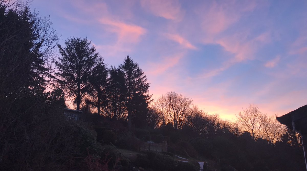 hjd_aitken's tweet photo. The weather is as grim as the news today, so here’s a beautiful Northumberland sunrise, taken on Christmas morning. I hope it helps. 
#skydistraction #trees #sunrise #weather #sky https://t.co/sI0cnua330