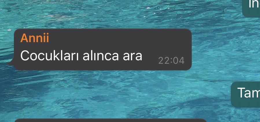 Çocuklar dediği kedi, ve evet evde kedi istemeyen anneydi 😸