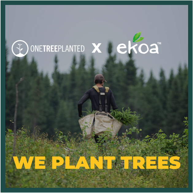 ekoa_brands's tweet photo. Thank you for shopping at https://t.co/HAZCGjbZjb this year and helping us plant trees with @onetreeplanted 💚We are happy to be able to support this cause and to make a difference in a year that our planet suffered so much.🙏
.
#gratitude #reforestation #weplanttrees https://t.co/IzRmcFk5zx