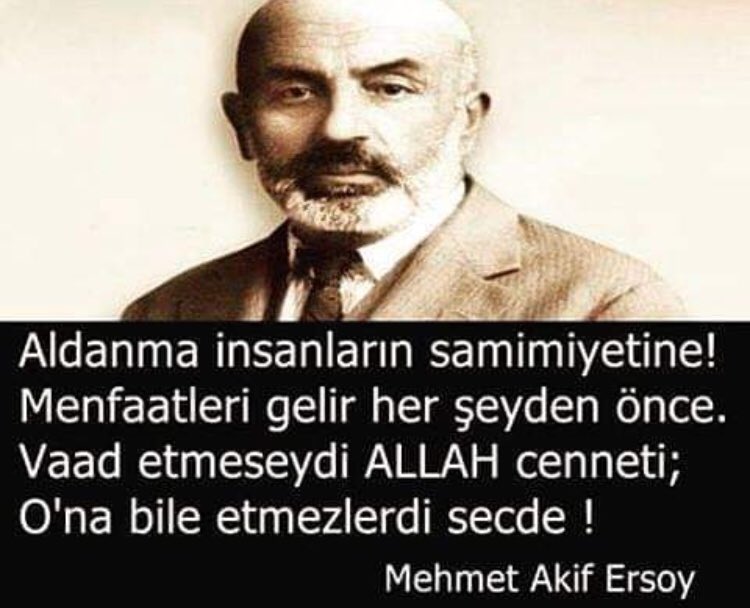 KAMP VE YABAN HAYAT (@kl38623821) on Twitter photo 