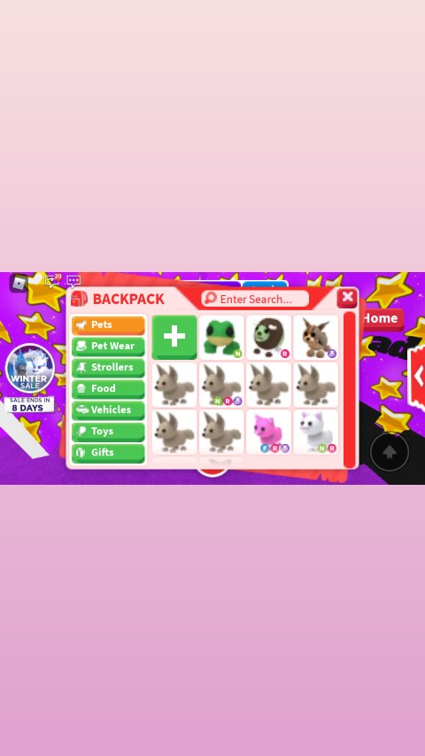 adoptmepets85's tweet image. Any offers? looking for owl frost dragon bat dragon or shadow dragon
