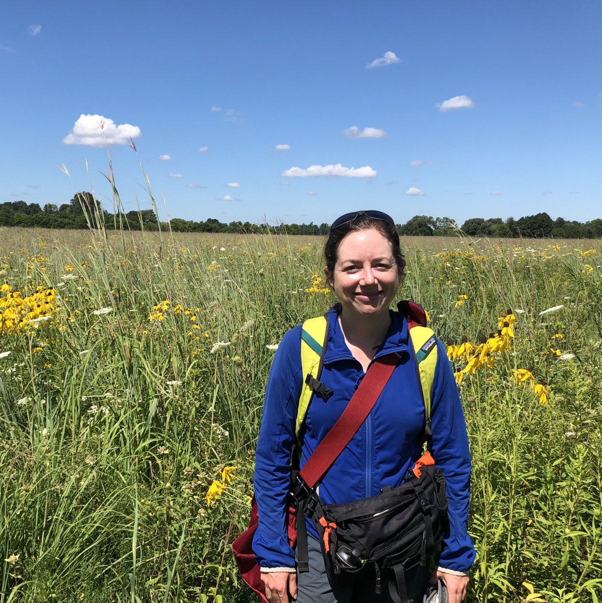 Congrats to  @InsectAaron  @HandlerOfBees  @SabRondeau on winning  @uofguelphOAC scholarships for research, &  @janean_sharkey oning awarded Biological Survey ofScholarship by  @CanEntomologist to support work on native  #bee biodiversity in tallgrass prairies  #ProudSupervisor