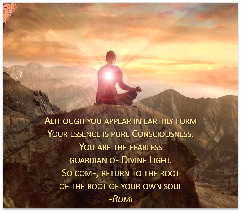 Lois J Wetzel, MFA (@hplotus) on Twitter photo 