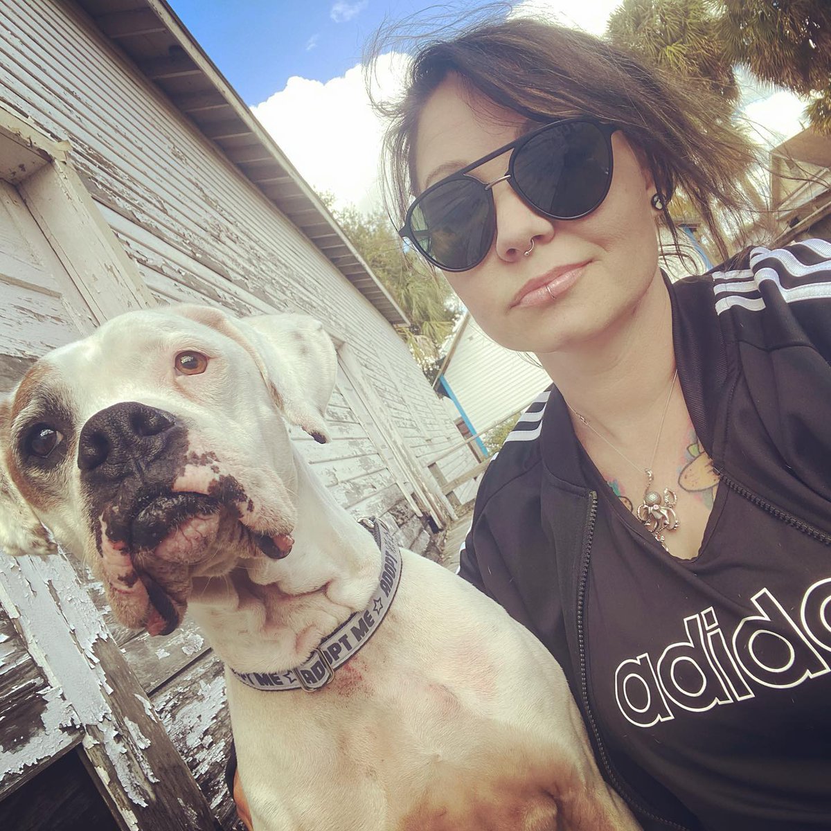 DeviLynDanGer's tweet photo. Careful around me, sugar, you might get hooked...
#IntoTheFog #DogsOfTwitch #BullTerriersOfTwitch #HorrorDogs
https://t.co/zaM8ECVxJY https://t.co/7dvTTVRzeF