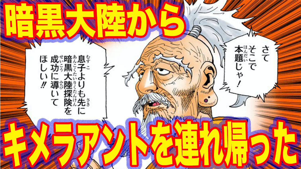 にの 映像とデザインの人 ハンターハンター考察動画 今回は キメラアントを暗黒大陸から連れ帰ったのはアイツ についての動画だよ メルエムやピトーが凄まじいスピードで進化できた理由とは みんな見てくれーたのむ T Co