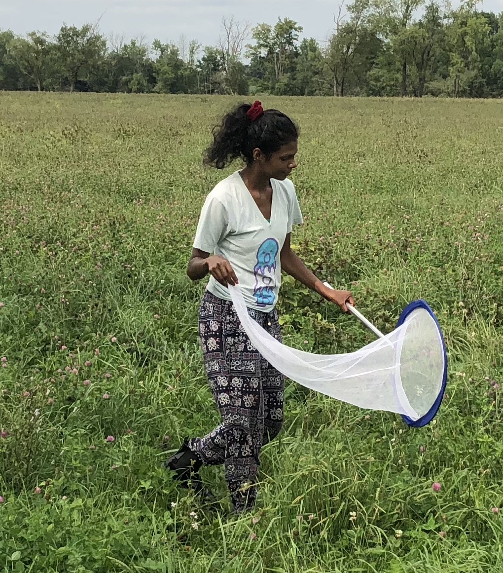 We're sad to say au revoir to Dr  @ana_montcast who has taken up an exciting new role with the Joint Research Centre of the EU in  @EU_ScienceHub & our fabulous undergrad research associates  @amylikestrees &  @alexaoutside who graduated. Congrats & good luck!  #AuRevoirNotGoodbye